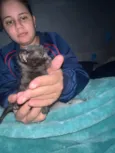 Todos estão sem nome mas o macho dei o nome de Jackson
