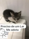 panqueca 