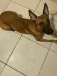 Kiara
