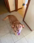 Mel