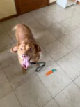 Mel