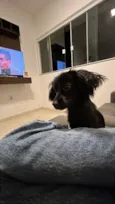 Lua