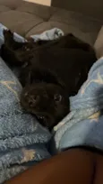Lua
