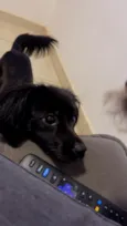 Lua