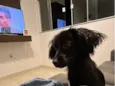 Lua