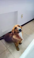 Léo