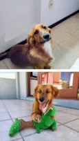 Léo