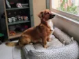 Léo
