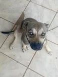 Lua