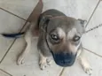 Lua