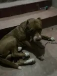 Max