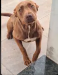 Nala