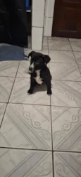 Luther