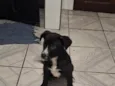 Luther
