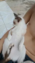 princesa