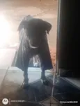 paçoca 