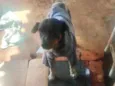 paçoca 