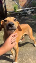 Julieta