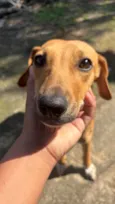 Julieta