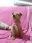 Rita