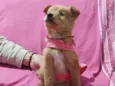 Rita
