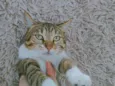 Joaquim
