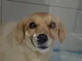 sem nome
