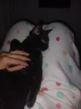 Safira 