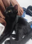 Safira 