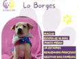 Lo Borges