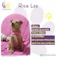 Rita Lee