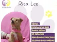 Rita Lee