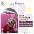 Elis Regina
