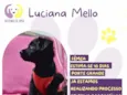 Luciana Mello