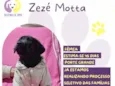Zezé Motta