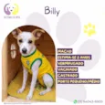 Billy
