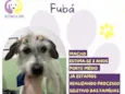 Fubá