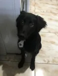 Slinky