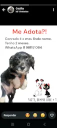 Conrado