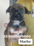 sem nome 