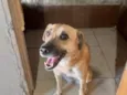 Dora
