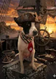 Pirata