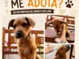 Não tem 
