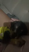 Nick