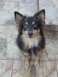 Boris