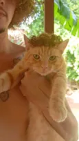 gigi