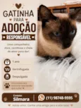 Capuccino 1aninho 