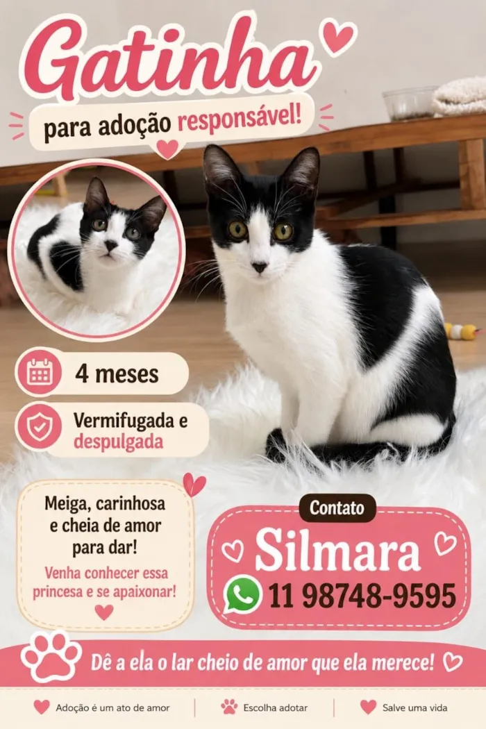 Gato raça SRD-ViraLata idade 2 a 6 meses nome Cookie bb4meses linda 
