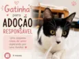Cookie bb4meses linda 