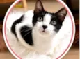 Cookie bb4meses linda 